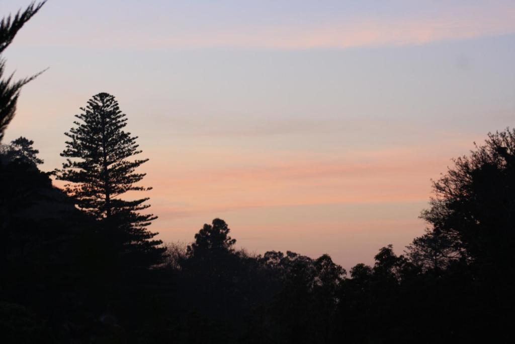 Hotel Sintra Jardim ภายนอก รูปภาพ